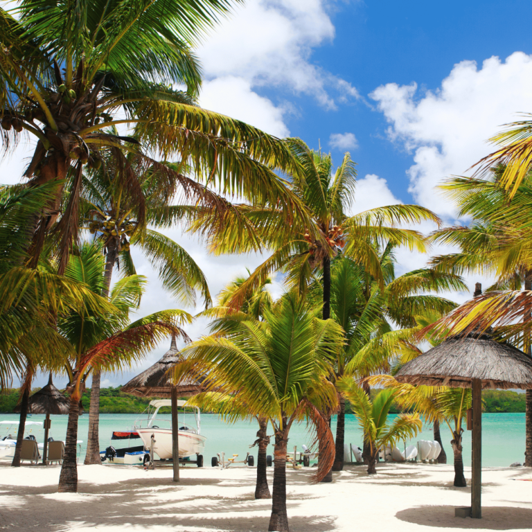 Key Design Elements to Consider for Creating a World-Class Resort
